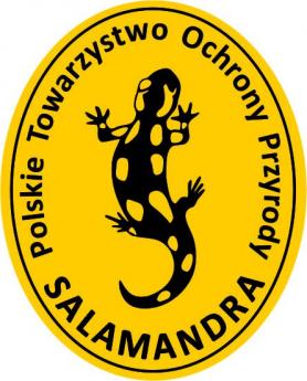 Drugie miejsce w etapie  Wojewódzkim Konkursu Przyrodniczego „ Salamandra” „Płazy i gady Polski”