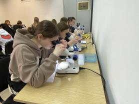 Uczniowie klasy 1 c podczas obserwacji mikroskopowych.