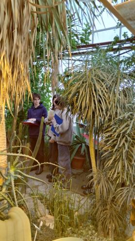 Uczniowie podczas zajęć w Ogrodzie Botanicznym