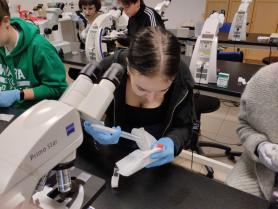 Uczniowie klasy 3 c podczas zajęć laboratoryjnych.