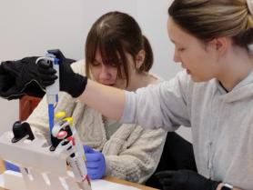 Uczniowie klasy 3 c podczas zajęć laboratoryjnych.