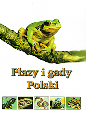 Konkurs Przyrodniczy „Płazy i gady Polski”