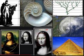 Przykłady występowania ciągu Fibonacciego