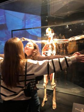 Uczniowie odwiedzający wystawę Body Worlds